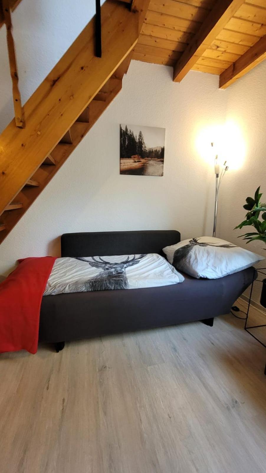 Berg-Buedchen - Schnuckelige Maisonette-Fewo - Gemuetlich Und Guenstig Sankt Andreasberg Exterior foto