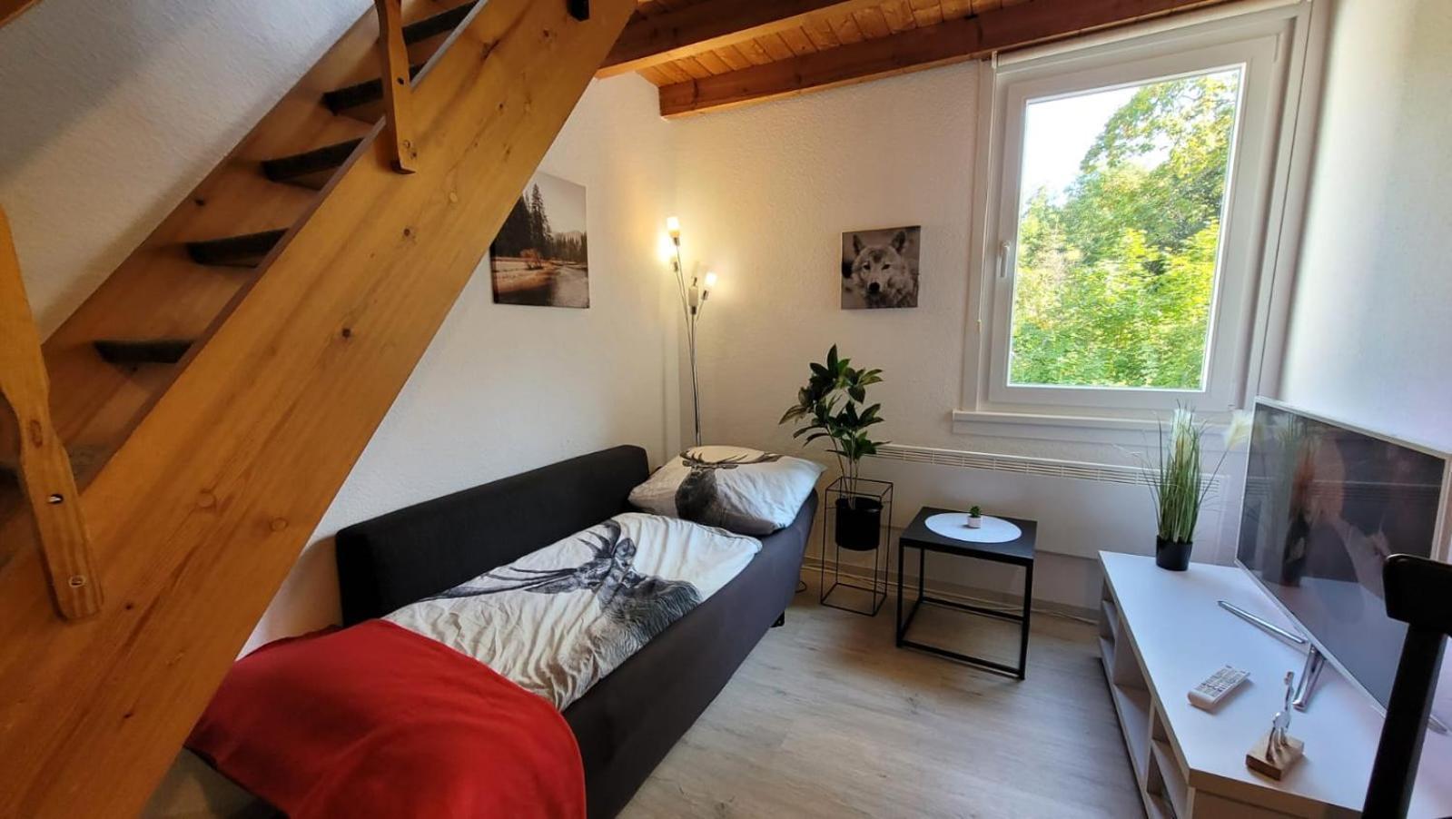 Berg-Buedchen - Schnuckelige Maisonette-Fewo - Gemuetlich Und Guenstig Sankt Andreasberg Exterior foto